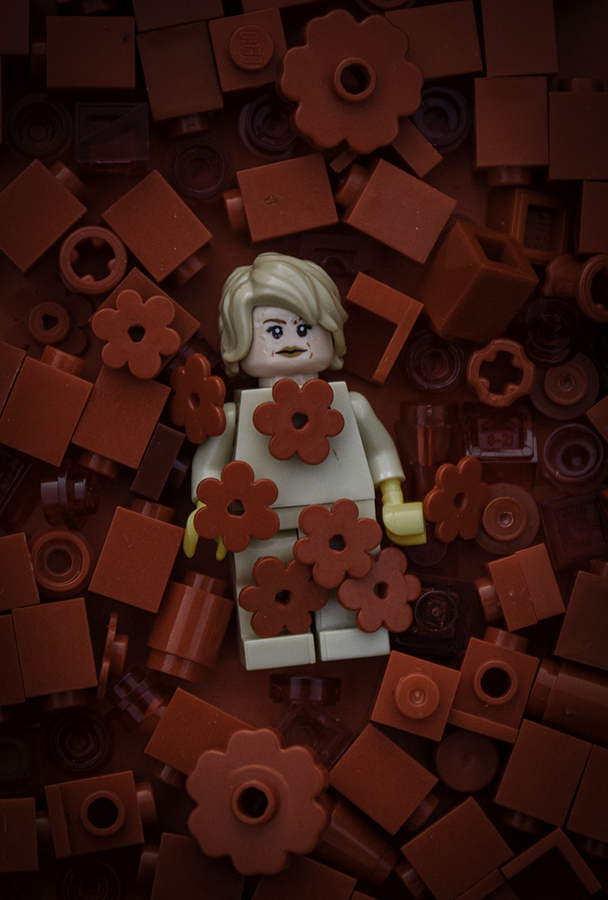 American Beauty - Ellen Bell - Best able top/still life image